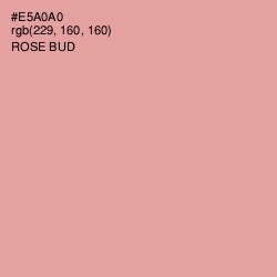 #E5A0A0 - Rose Bud Color Image